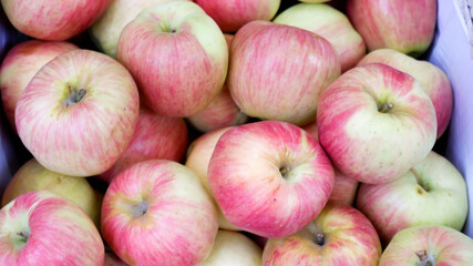 Apples on display in the store