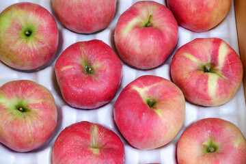Apples on display in the store