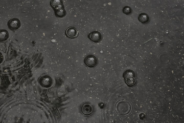 background puddle rain / circles and drops in a puddle, texture with bubbles in the water, autumn rain