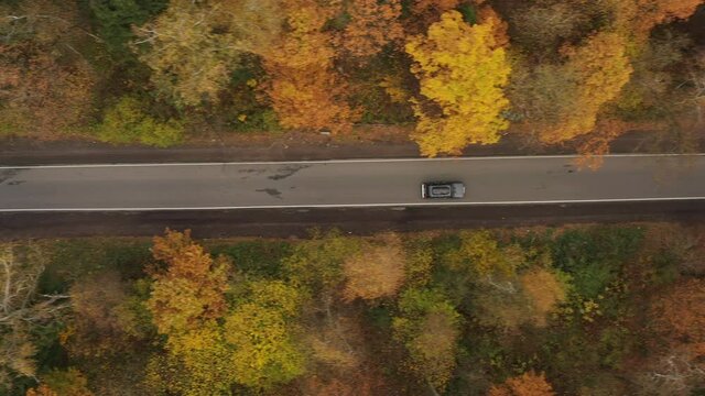 cars drive along a narrow asphalt road in a dense autumn forest. aerial view
