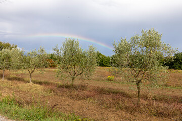 Regenbogen in der Toskana