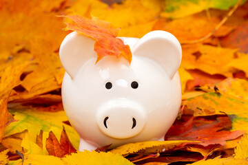 Piggy bank with colorful autumn foliage