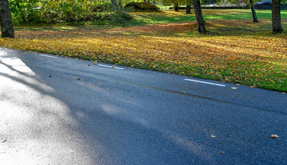 wet tarmac and park full of leaves