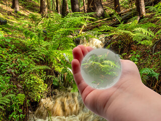 Kinderhand mit Glaskugel Umwelt Wald