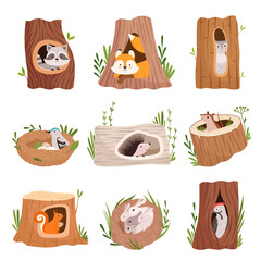 Holes in tree. Home hollow for wild animals trunk leaves treetops birds and squirrel vector characters. Illustration hollow tree in forest, trunk hollowed © ONYXprj