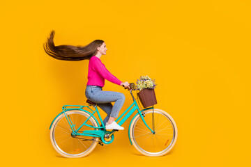 Full length profile photo of cute girl ride bike wildflowers pot wear pink sweater jeans isolated yellow color background