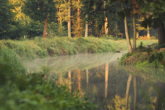 Spok&oacute;j i cisza na brzegu rzeki, słoneczny brzeg - widok na spokojną rzekę 