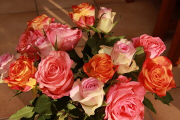 Roses rose orange blanche pastel