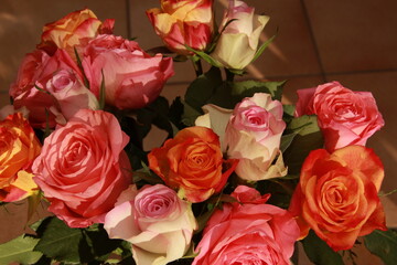 Roses rose orange blanche pastel