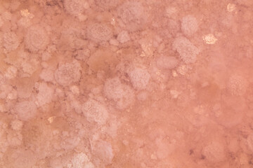 Pink salt flakes close-up top view under pink water surface. Healthy spa resort on Syvash or Sivash, the Putrid Sea or Rotten Sea, Ukraine