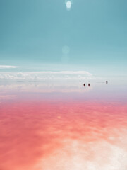 Pink red vivid salt lake coast with white salt, mirror water surface and blue sky