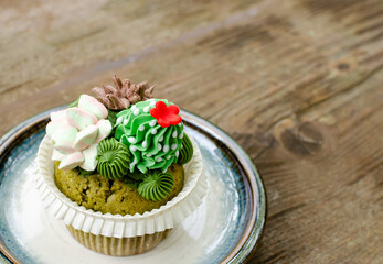 Beautiful japanese Matcha muffin with succulent cream decoration on top.  Cacti muffin design.