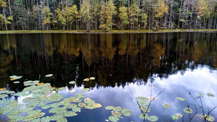 forest lake with clouds reflecting in it. Calm autumn landscape.