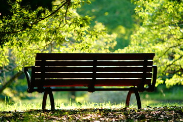 緑の中のベンチ