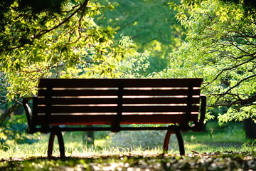 晴れた日の休息