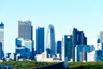 Fototapeta na wymiar Shinjuku city skyline in Tokyo, Japan: Nishi-Shinjuku area