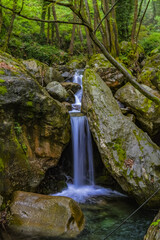 waterfall in the forest
