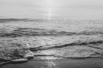 naturaleza viajes plantas animales aventura deportes mar surf