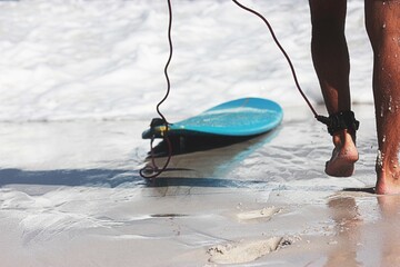 naturaleza viajes plantas animales aventura deportes mar surf