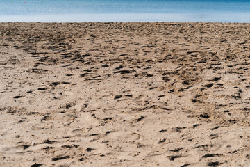 naturaleza viajes plantas animales aventura deportes mar surf