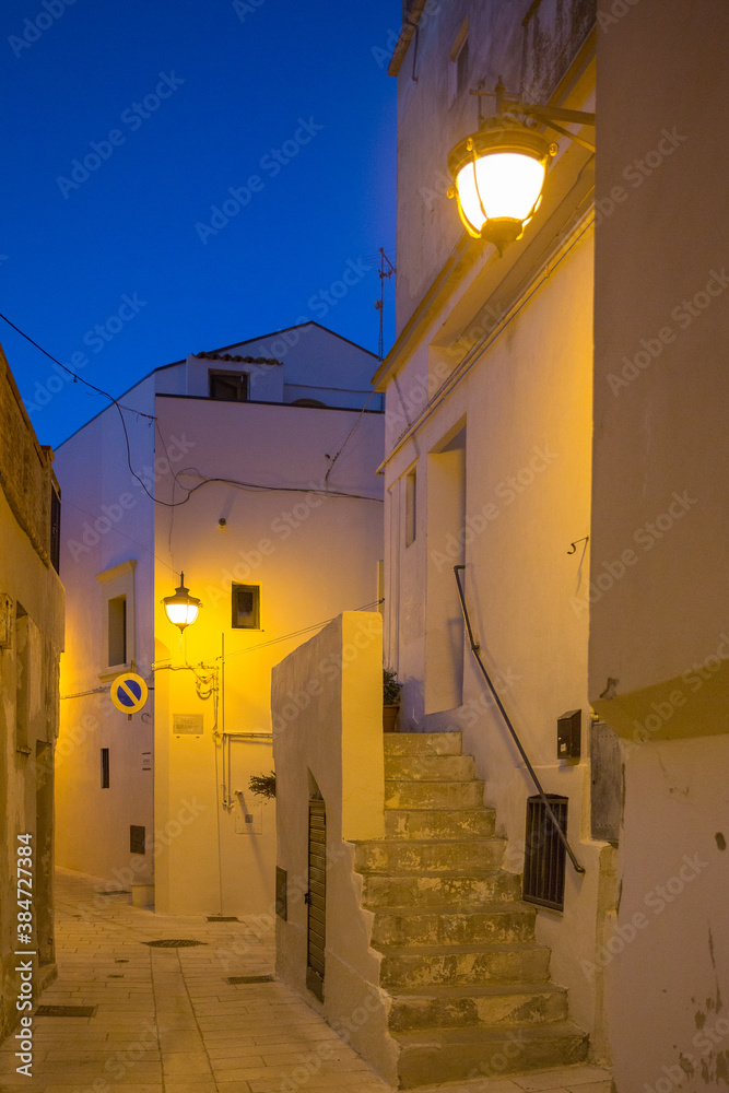 Wall mural South Italy, Basilicata, the picturesque old town of Montalbano Jonico in the night