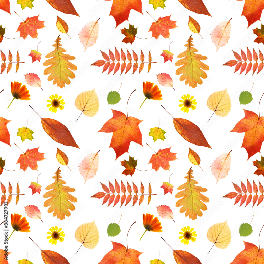 Poster seamless pattern of autumn leaves isolated on white background