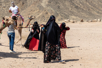 Hurghada, Egypt - October 1, 2020: The Bedouin women wearing national dress guide the camels in the desert