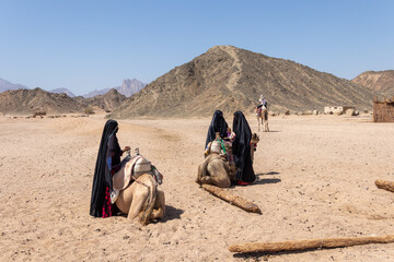 Hurghada, Egypt - October 1, 2020: Muslim women dressed in hijabs stand next to camels and wait for tourists in Egypt