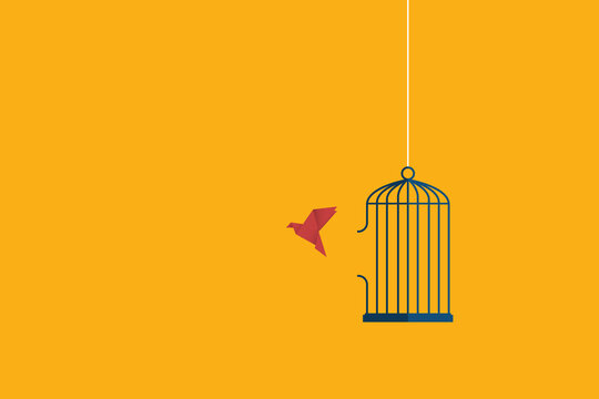 Flying bird and cage. Freedom concept. Emotion of freedom and happiness. Minimalist style.	