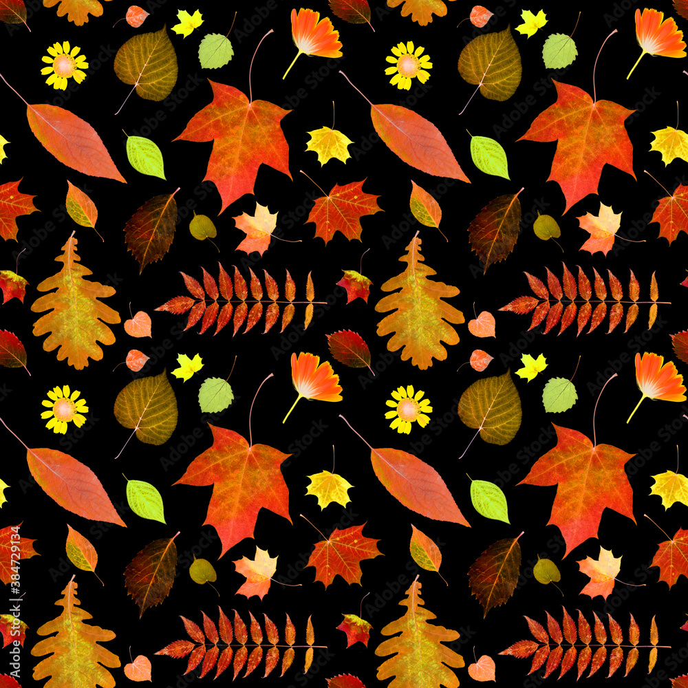 Aufkleber seamless pattern of autumn leaves isolated on black background