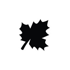 Fototapeta premium Maple leaf icon vector