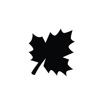 recommend clip art: Maple leaf icon vector