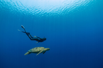 Obraz na płótnie Canvas A female freediver is swimming with a sea turtle in a blue ocean.