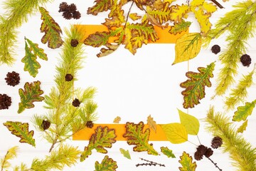 Blank paper card with fall season larch twigs and cones, colorful fallen leaves on white wooden...