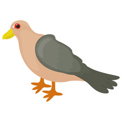 
Bird having colored beak characterizing pigeon icon 
