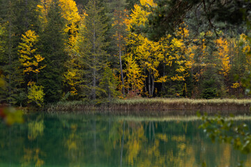 Alpenlandschaft im Herbst am Fernpass in Tirol