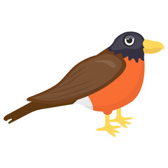 
A colorful bird with long beak depicting  eurasian finch 
