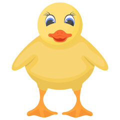 
A duck having white color is farm animal 
