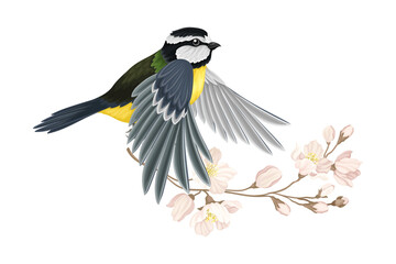Great Tit with Black Head and Yellow Body Flying Towards Apple Blossom Branch Vector Illustration