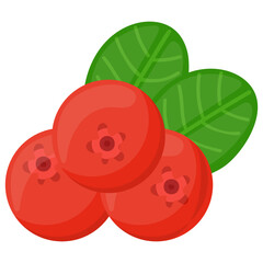 
Lingonberry in red fresh color 
