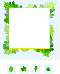 green frame