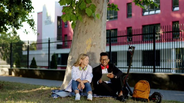 In the middle of the street down on the grass two multiracial couple happy beside the tree have a nice conversation they spending good time. Shot on ARRI Alexa Mini