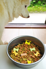 ゴハンを待つ愛犬