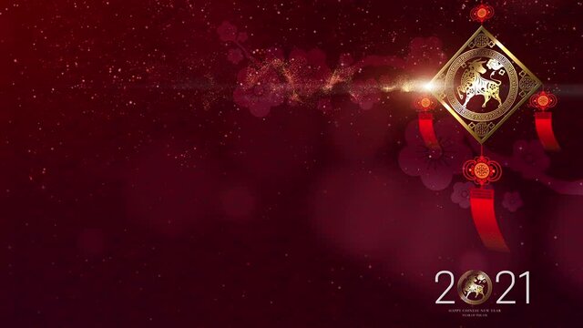 Chinese New Year, year of the Ox 2021, also known as the Spring Festival with the Chinese calligraphy gong xi fa cai or gong hay fat choy, means may you attain greater wealth