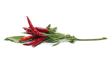 Fresh red spicy peppers, paprika with green leaf isolated on white background 