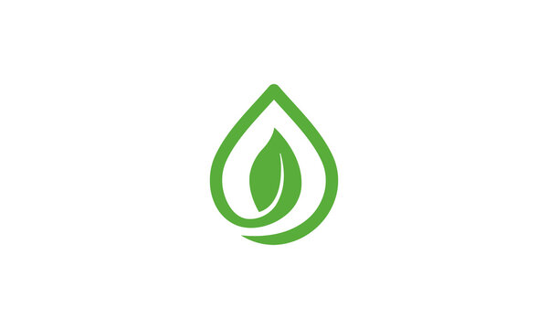 Creative Vector Illustration Logo Design. Line Water Drop with Leaf Leaves Combination.