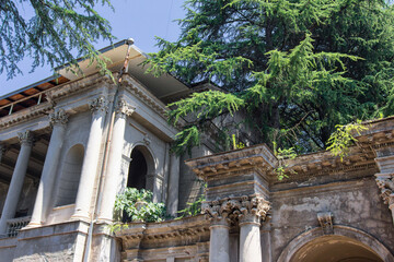The upper part of the old building with stucco, arches and columns under large coniferous trees