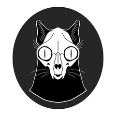 Dead cat. Silhouette and skull of a cat. Halloween and all the dead day. Vector illustration isolated on a black background for design and web.