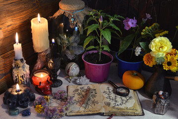 Mysterious still life with open diary book with botanical drawing, pepper plant in pot and candles on witch table