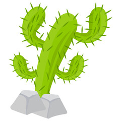 
A thorny plant known as cactus 
